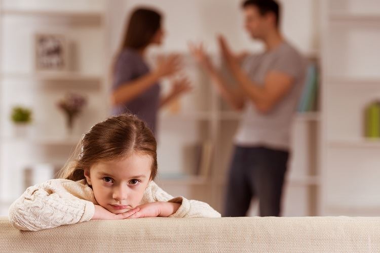 child custody dispute